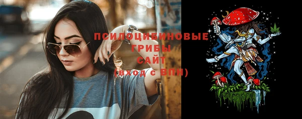 спайс Арсеньев