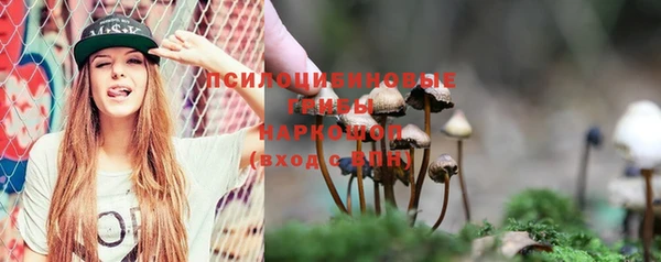 ГАЛЛЮЦИНОГЕННЫЕ ГРИБЫ Магадан